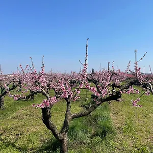  Alloggio per agriturismo Corte Vecia Della Corte Italia